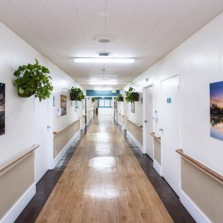 A well-lit hallway with plants and decorated walls.