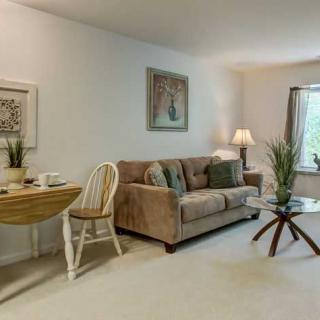 A cozy living room with a beige sofa, wooden table, and decorative plants near a large window.