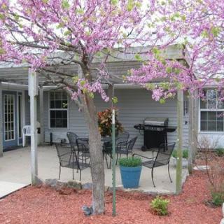 A cozy patio area with a blooming tree, outdoor furniture, and a grill.