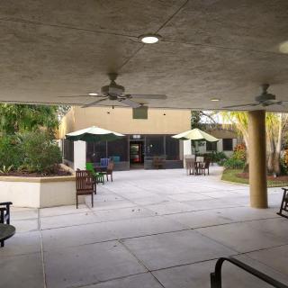 An inviting outdoor patio area with umbrellas and seating arrangements surrounded by trees.