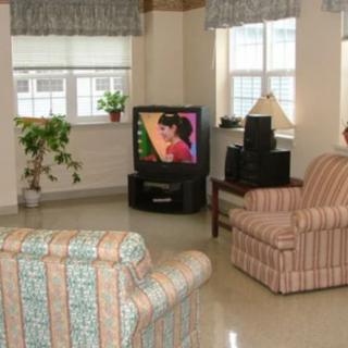 A cozy living room with patterned armchairs, a small television, and potted plants by the window.