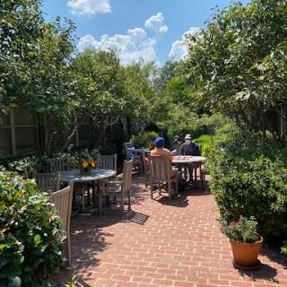 A serene garden patio filled with greenery, where people are enjoying a sunny day.