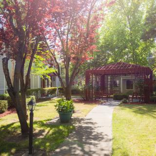 A sunlit garden features a charming gazebo surrounded by trees and a well-maintained pathway.