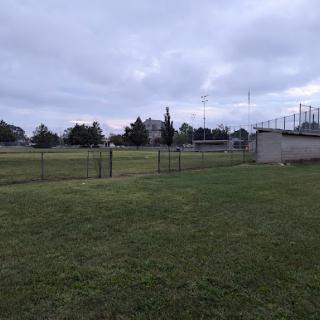 A tranquil park scene featuring a grassy field and cloudy skies.