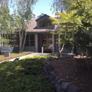 A charming house surrounded by lush greenery on a sunny day.