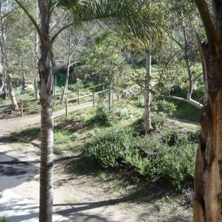 A sunny day in a lush park with trees and greenery.