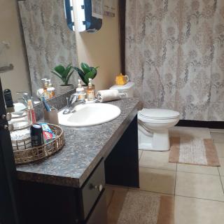 A modern bathroom with a countertop sink, decorative plants, and neatly arranged toiletries.