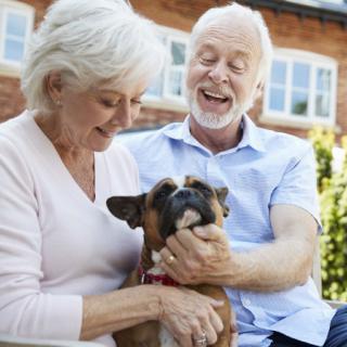 An elderly couple enjoying time with their dog outdoors.
