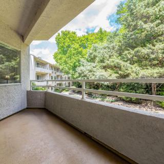 A spacious apartment balcony with views of lush green trees.