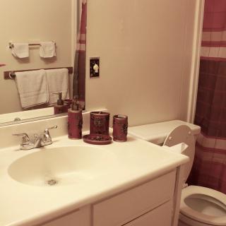 A clean and well-organized bathroom with a sink, mirror, and shower curtain.