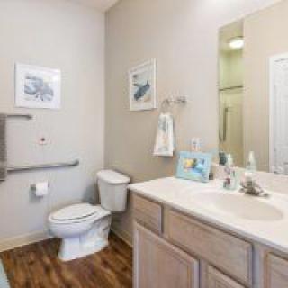A well-lit bathroom featuring a toilet, sink with vanity, and wall-mounted artwork. It includes a handicap-accessible rail.