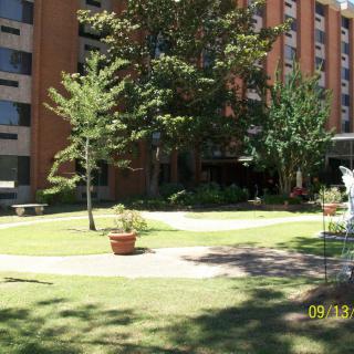 A sunny outdoor garden area in front of a multi-story building with trees and potted plants.