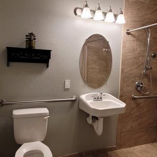A modern bathroom with a toilet, sink, mirror, and shower area.
