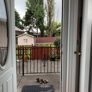 A group of ducklings on a patio just outside an open door, with a fenced backyard in the background.