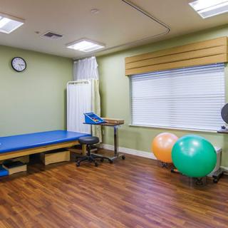 A physical therapy room equipped with a treatment bed and exercise balls.