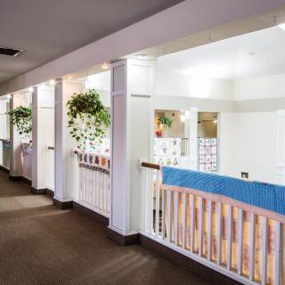 A well-lit hallway with decorative plants and a white railing.