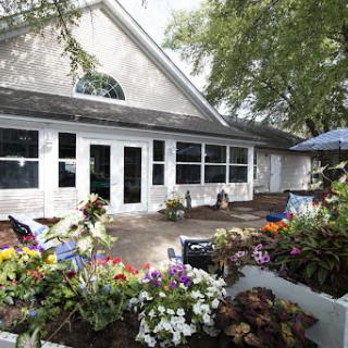 A beautifully landscaped area with vibrant flowers in front of a modern building.