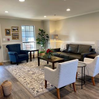 A cozy living room featuring a dark sofa, two white chairs, a blue armchair, and a patterned rug, complemented by wall art and indoor plants.