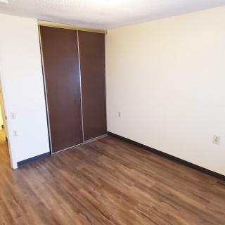 A minimalist empty room with hardwood flooring and a closet.