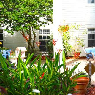A sunny garden patio featuring lush green plants and comfortable outdoor furniture.