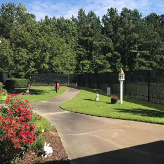 A serene garden walkway lined with flowers and a black fence, surrounded by lush trees.