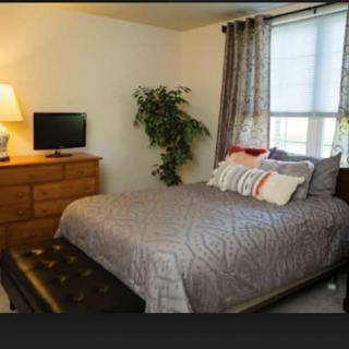 A cozy bedroom with a neatly made bed, a dresser with a TV, and soft lighting from a lamp.