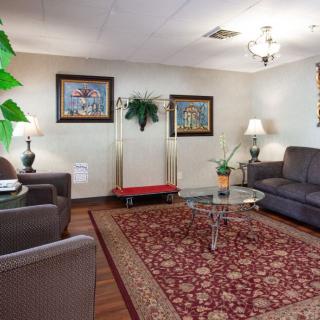 A cozy living room with comfortable seating, decorative lamps, and vibrant artwork on the walls.