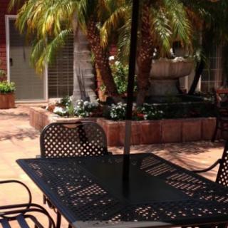 A patio area with metal furniture, a large umbrella, and lush greenery including palm trees.