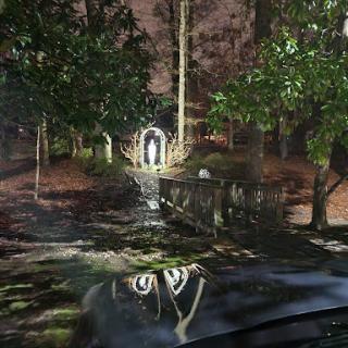 An eerie forest scene at night with a illuminated pathway reflecting in the water.