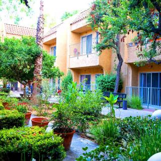 A lush courtyard filled with vibrant greenery and potted plants in front of a two-story building.