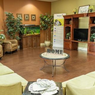 A cozy living room with comfortable seating, a television, plants, and an aquarium.
