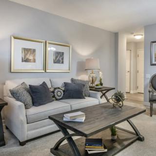 A cozy living room featuring a comfortable sofa with cushions, a stylish coffee table, and elegant artwork.