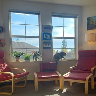 A cozy living room filled with natural light, featuring comfortable chairs and a curious cat by the window.