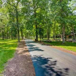 A serene pathway winding through a lush green park, surrounded by tall trees.