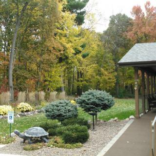 A serene garden with autumn trees, neatly trimmed shrubs, and a turtle sculpture beside a pathway.