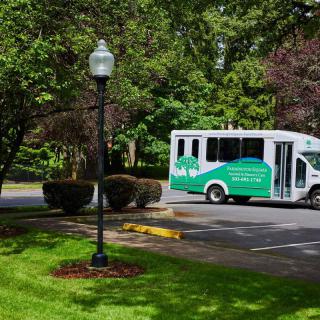 A green and white shuttle bus parked in a leafy area near a lamp post.