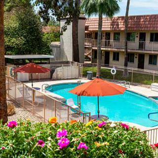 A serene outdoor hotel pool with blooming flowers and sun umbrellas.