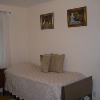 A small bedroom with a single bed, two pillows, and framed paintings on the wall.