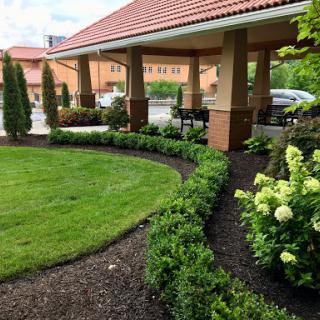 A well-maintained garden area featuring a curved pathway and lush greenery in front of a building.