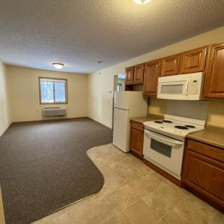 A small apartment interior featuring a compact kitchen and living area.