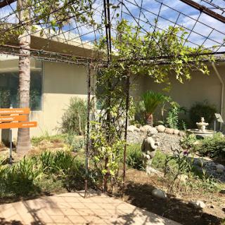 A serene garden space featuring a trellis, lush plants, and a comfortable bench.