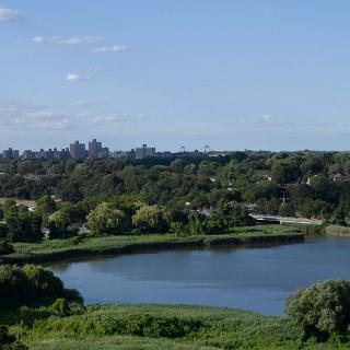 A scenic view of a lake surrounded by lush greenery with a city skyline in the background.