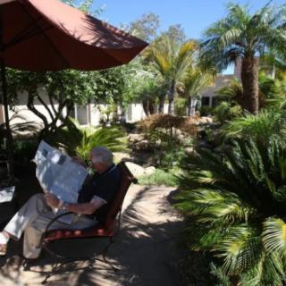 A person relaxes on a patio, reading in a sunny garden surrounded by palm trees.