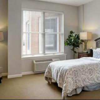 A cozy bedroom with neutral colors, featuring a bed, bedside lamps, a large window, and a potted plant.