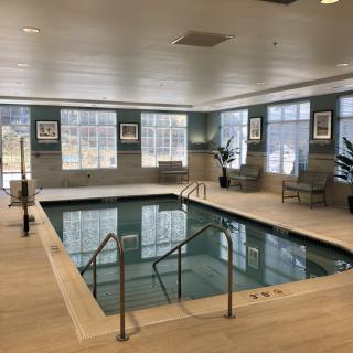 A modern indoor swimming pool area with large windows, seating, and decorative plants.