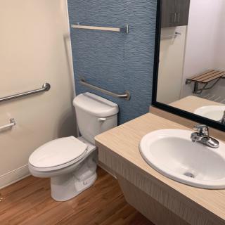 An accessible bathroom with grab bars, a toilet, sink, and mirror.