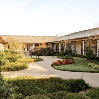 A serene courtyard featuring lush greenery and a winding pathway.