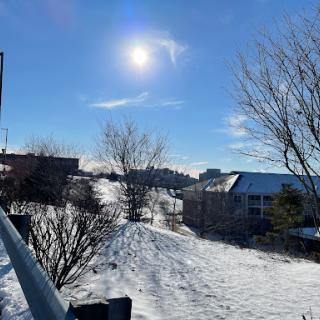 A serene winter landscape under a bright blue sky, with snow-covered ground and trees.