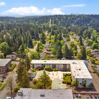 A serene aerial view of a suburban residential area surrounded by lush greenery and trees.