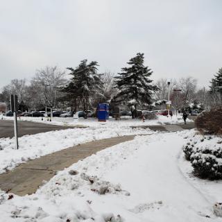 A snowy pathway surrounded by trees on an overcast winter day.